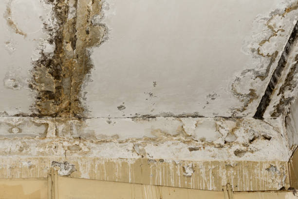 Local water damage restoration in Edina, MO